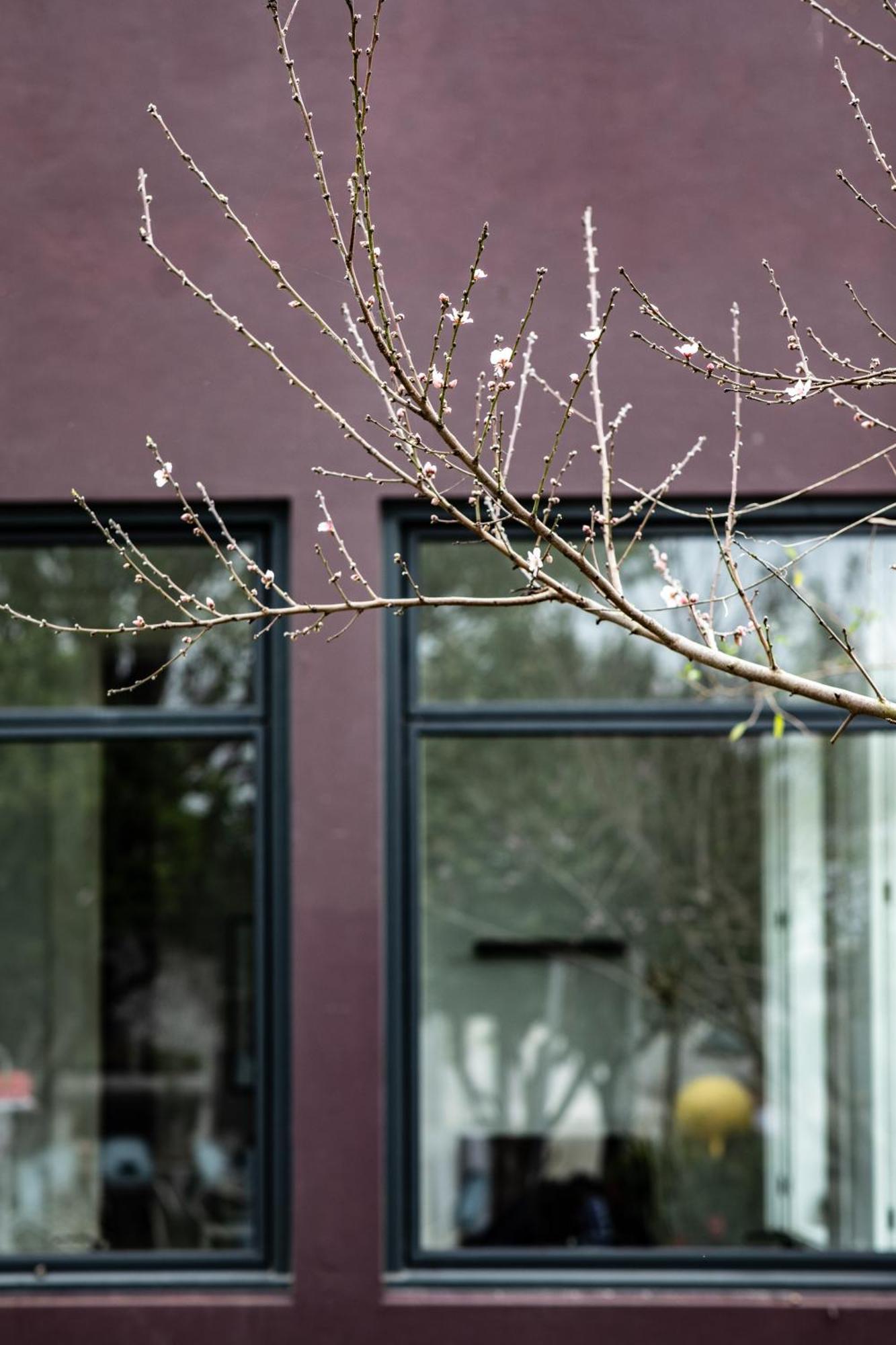 Pompeu Art Nouveau Apartment อาเวโร ภายนอก รูปภาพ