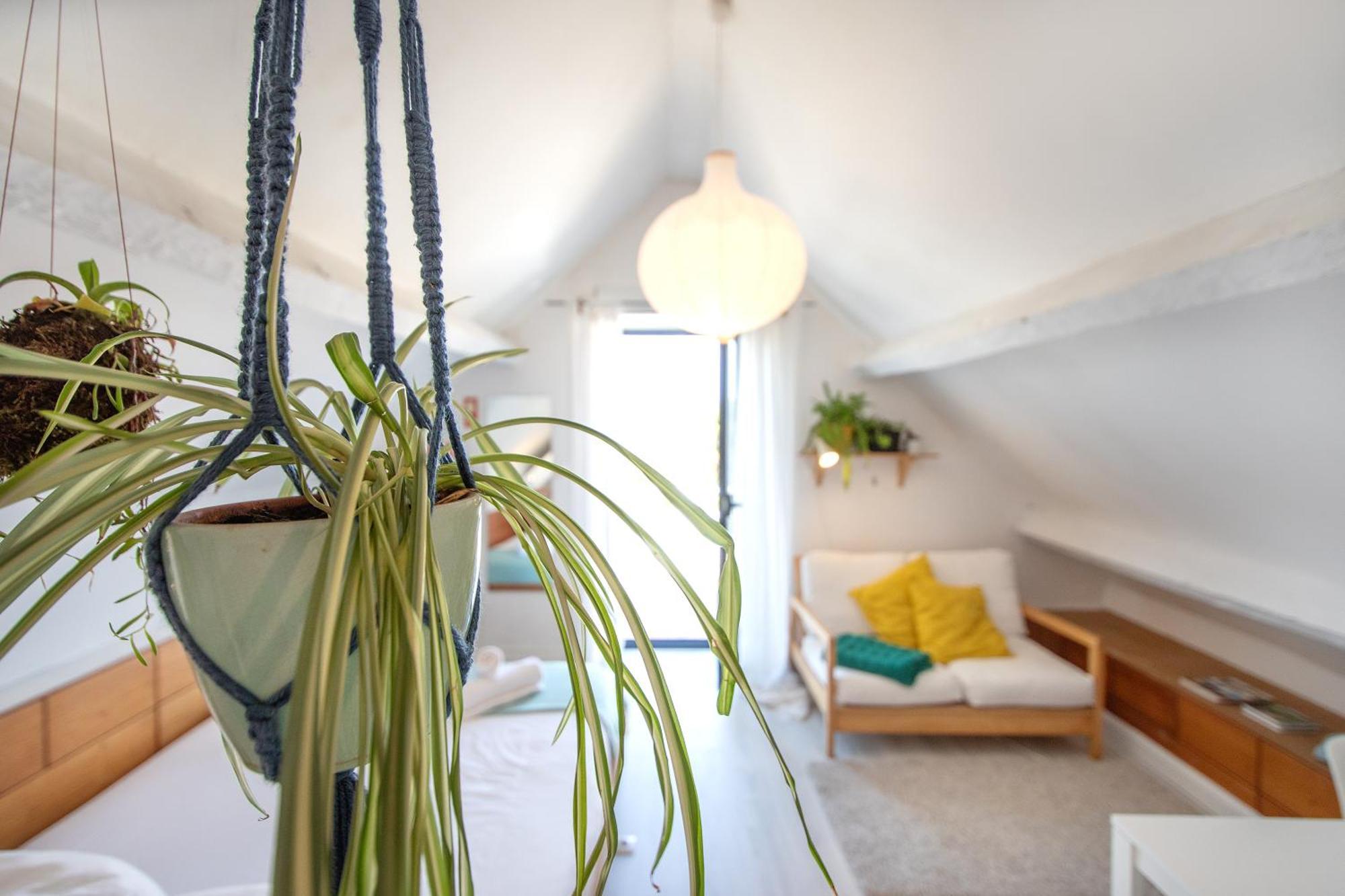 Pompeu Art Nouveau Apartment อาเวโร ภายนอก รูปภาพ