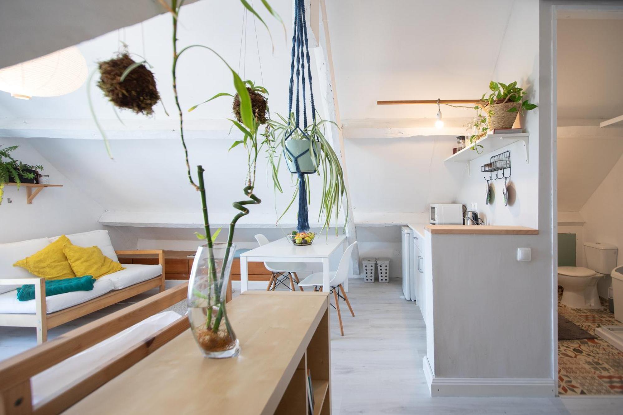 Pompeu Art Nouveau Apartment อาเวโร ภายนอก รูปภาพ